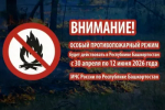 С 30 апреля по 12 июня 2026 года в Башкортостане действует особый противопожарный режим